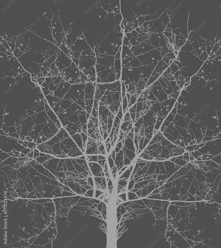 Dead Tree Silhouette Background