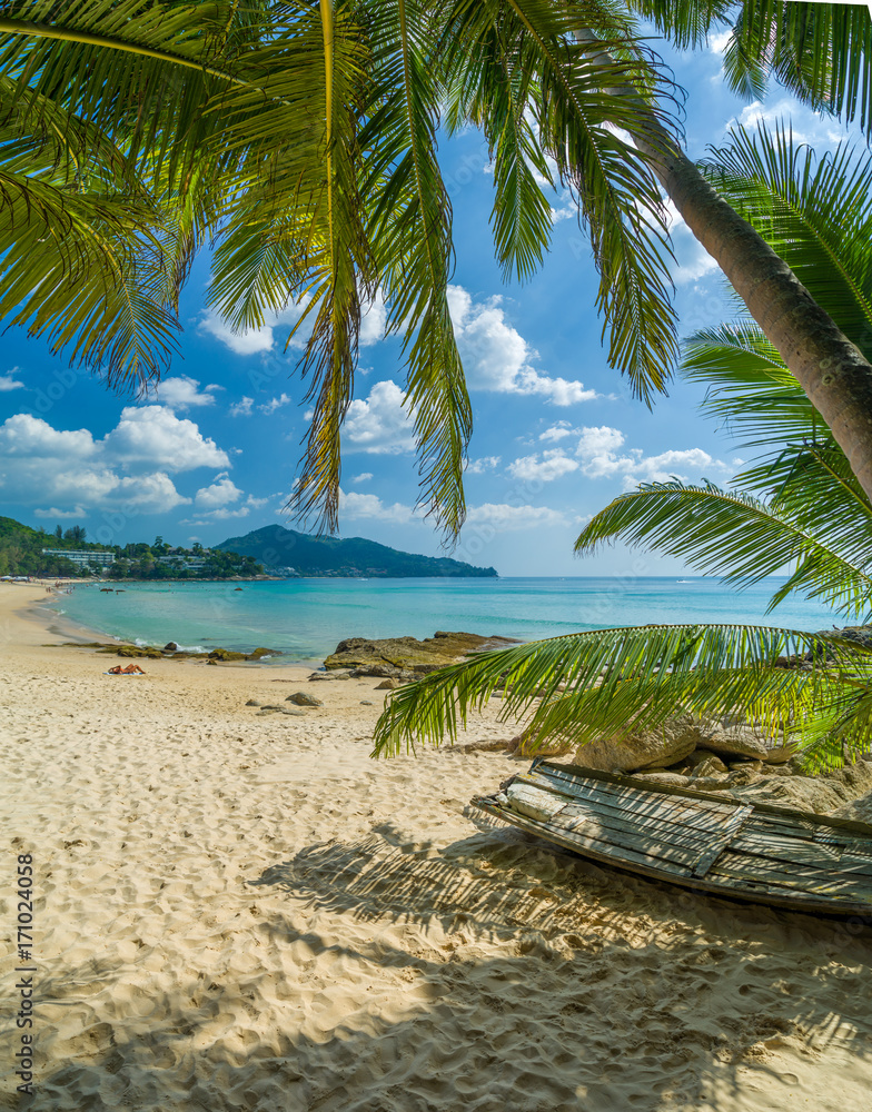 Obraz premium tropical beach with palms