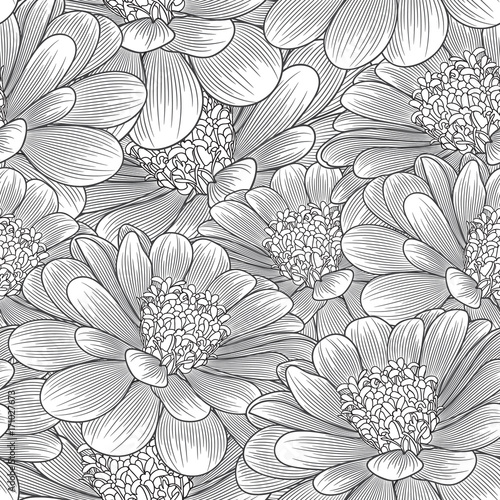 Monochrome seamless hand-drawing floral background with flower chamomile . Vector illustration.