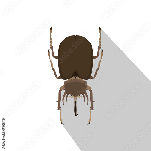 Beetle rhinoceros vector bug rhino illustration silhouette nature isolated insect