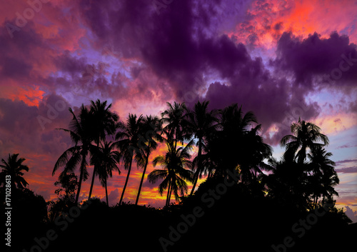 Sunset Beach with palm trees and beautiful sky. © Netfalls