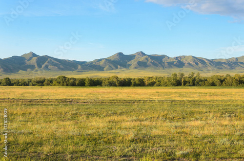 Sunny summer landscape, hills, forest, blue sky