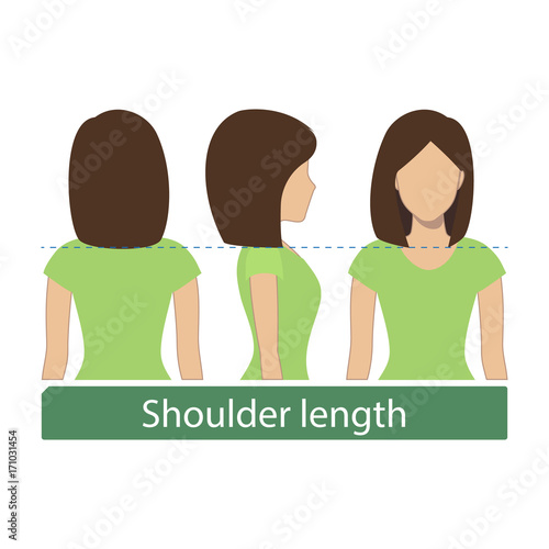 Hair length for haircuts and hairstyles - shoulder length. Vector.