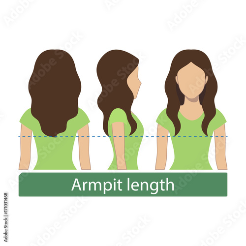 Hair length for haircuts and hairstyles - armpit length. Vector.