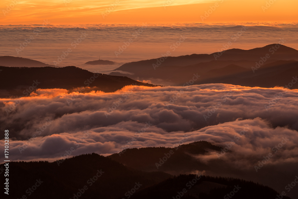 Milky fog over forest and mountains