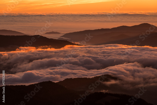 Milky fog over forest and mountains