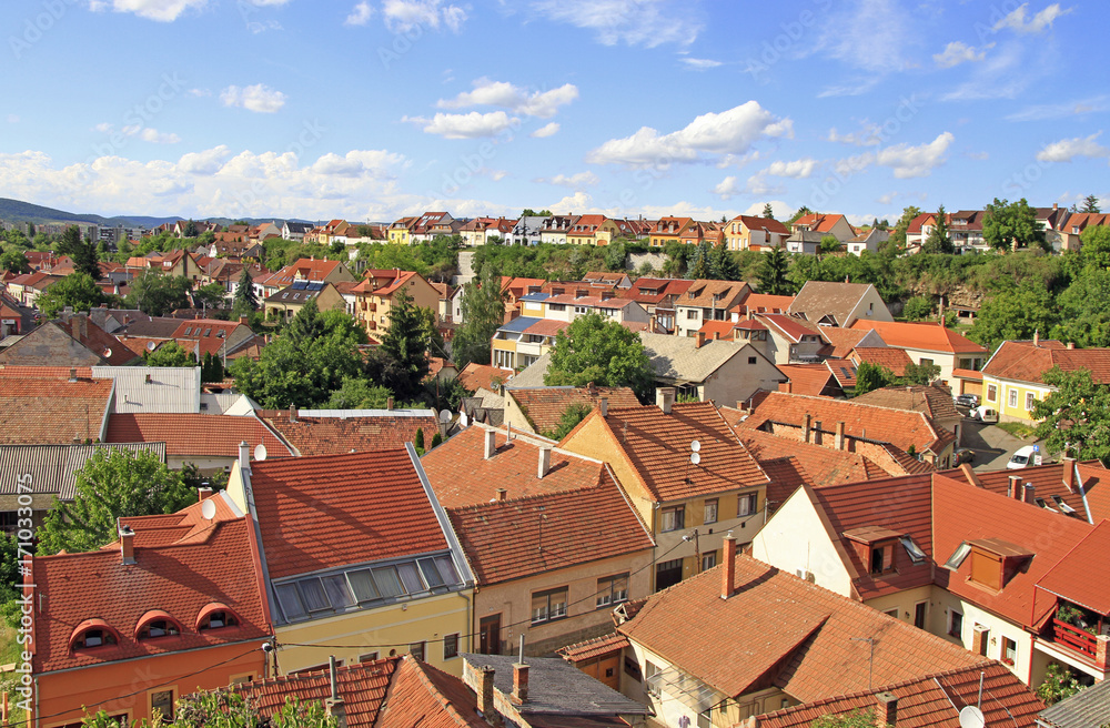 the cityscape of hungarian city Eger
