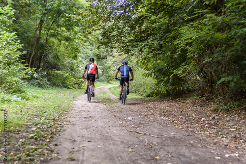 people ride a bicycle through the forest