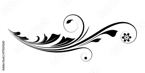 Modern Flourish Vector Design