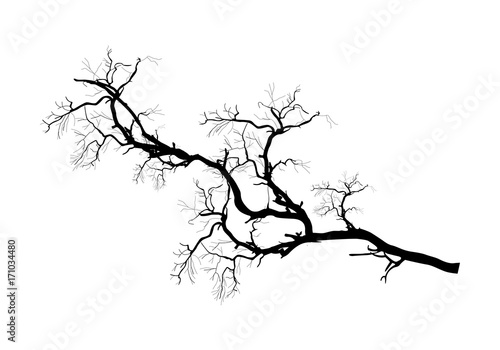 Tree Branch Black Shape Vector