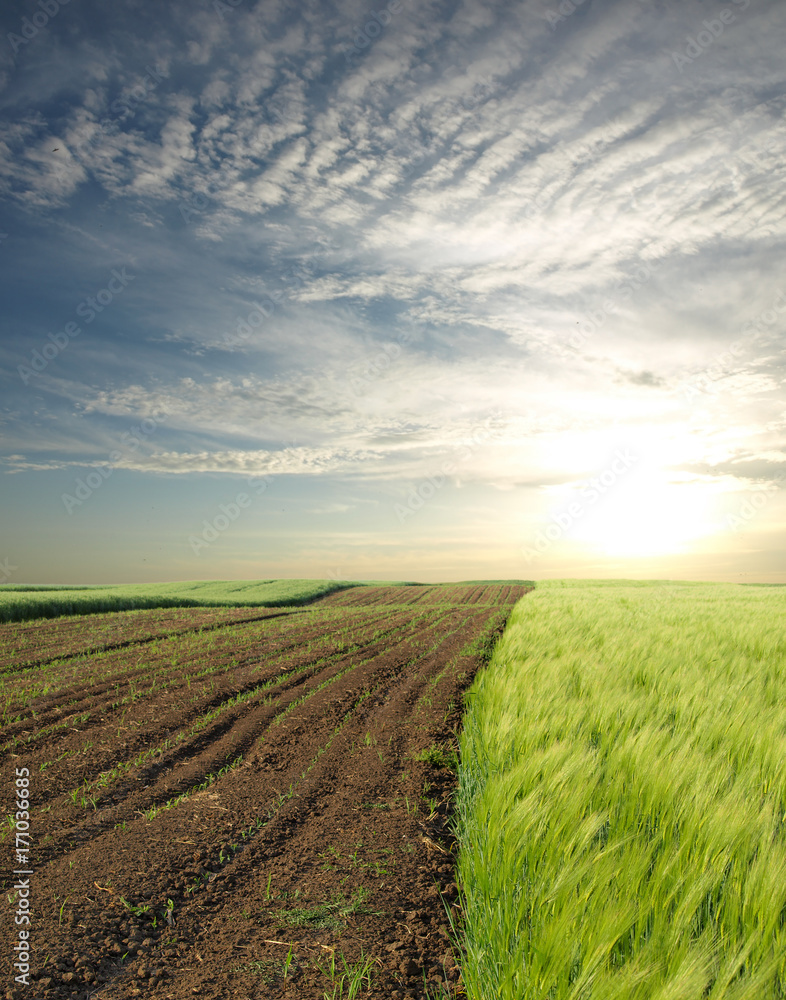 Plowed field in spring time Plowed field in spring time