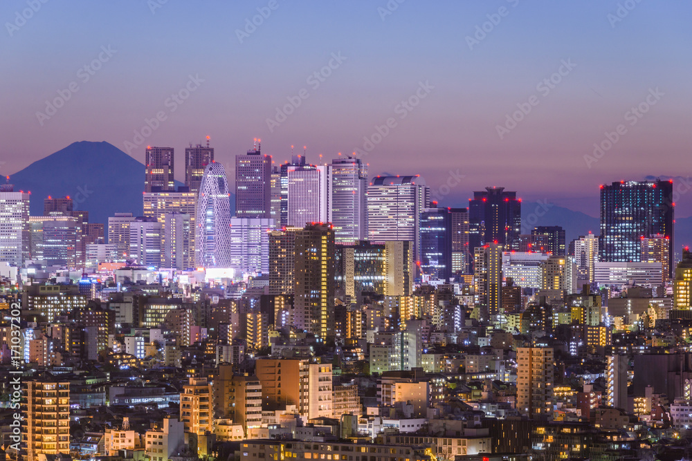 Tokyo, Japan cityscape with Fuji.