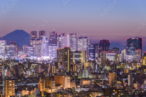 Tokyo  Japan cityscape with Fuji.