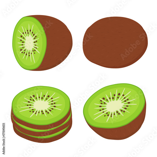 Tropical fruit, exotic kiwi set. Cartoon flat style. Vector illustration