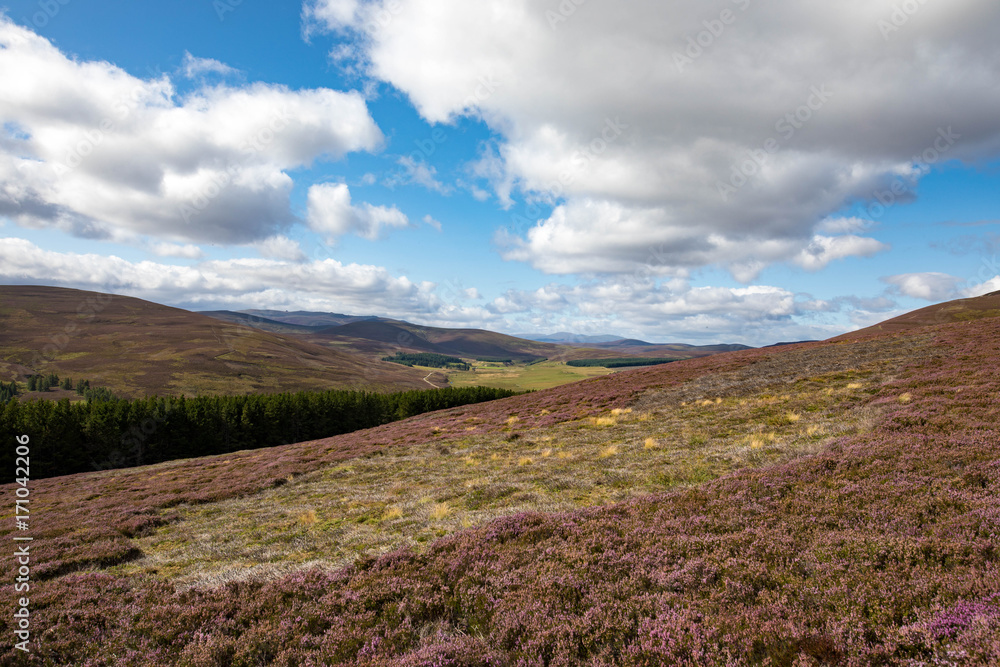 Obraz premium Cairngorms National Park, Scotland