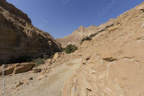 Wadi Arugot River, ein Gedi nature reserve, dead sea, Israel