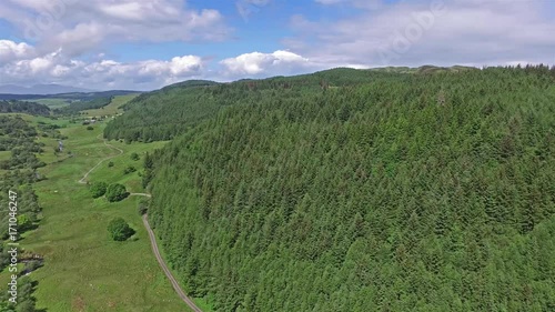 Flying over the forest photo