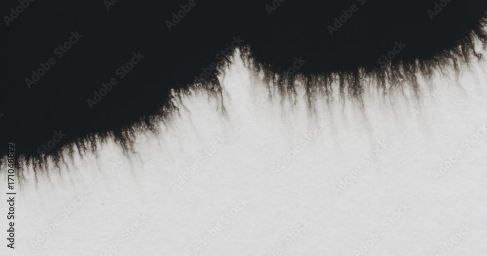 Fototapeta closeup black ink border spreading on wet paper top view