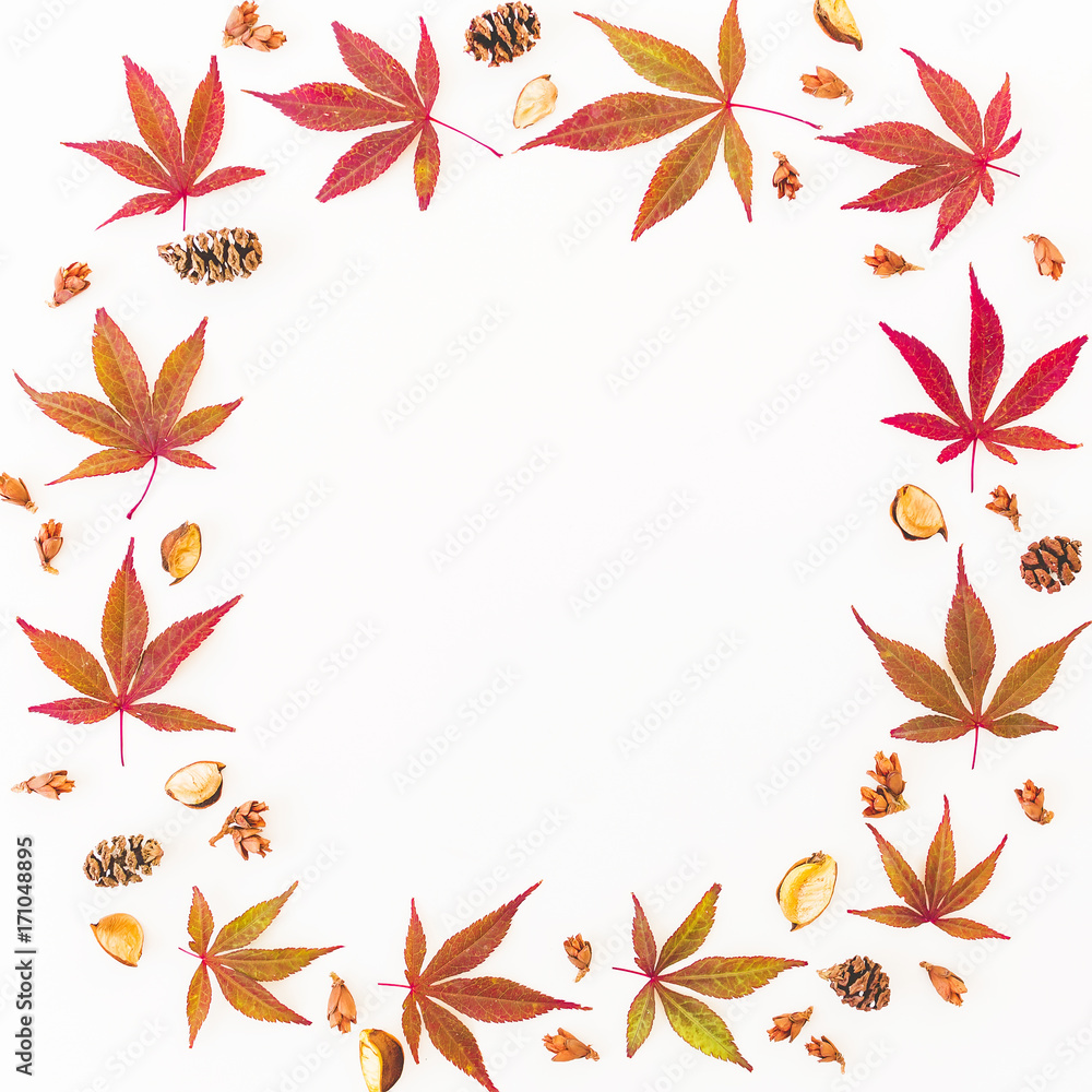 Autumn composition. Frame made of autumn maple leaves, pine cones on white background. Flat lay, top view Autumn composition. Frame made of autumn maple leaves, pine cones on white background. Flat lay, top view