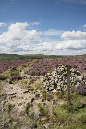 Beautiful vibrant landscape image of Burbage Edge and Rocks in Summer in Peak District England