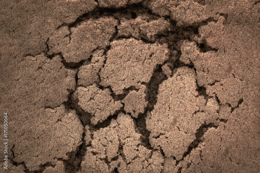 Crack in the ground, close-up of brown Crack in the ground, close-up of brown