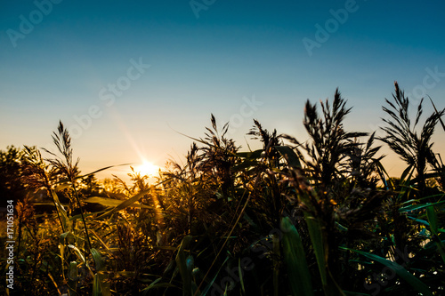 Sunset on the beach with straws