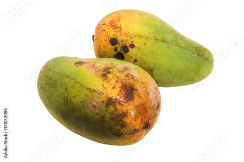 Closeup of two yellow mango isolated on white background