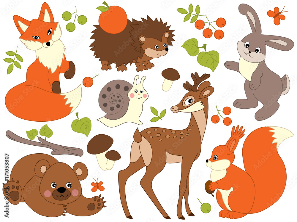 Fototapeta premium Vector Woodland Animals