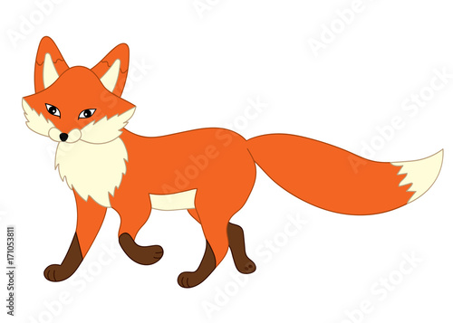 Vector Cute Cartoon Fox