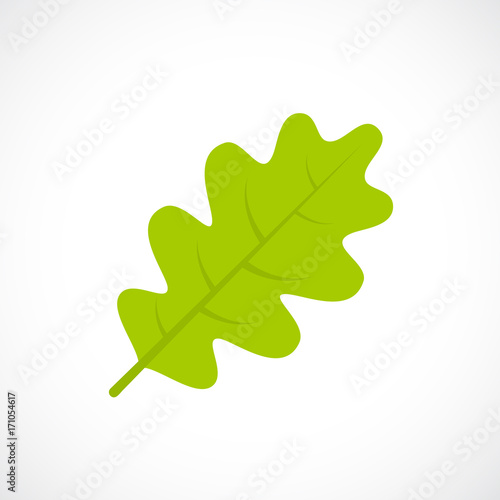 Oak leaf vector icon