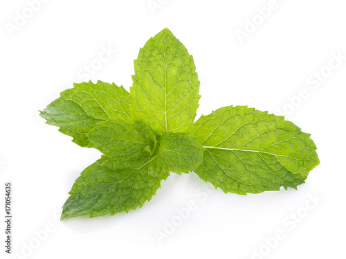 Mint leaves isolated on white background