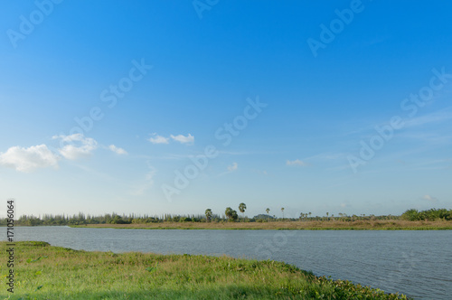 Water canal in field, trees and palm trees, blue sky background