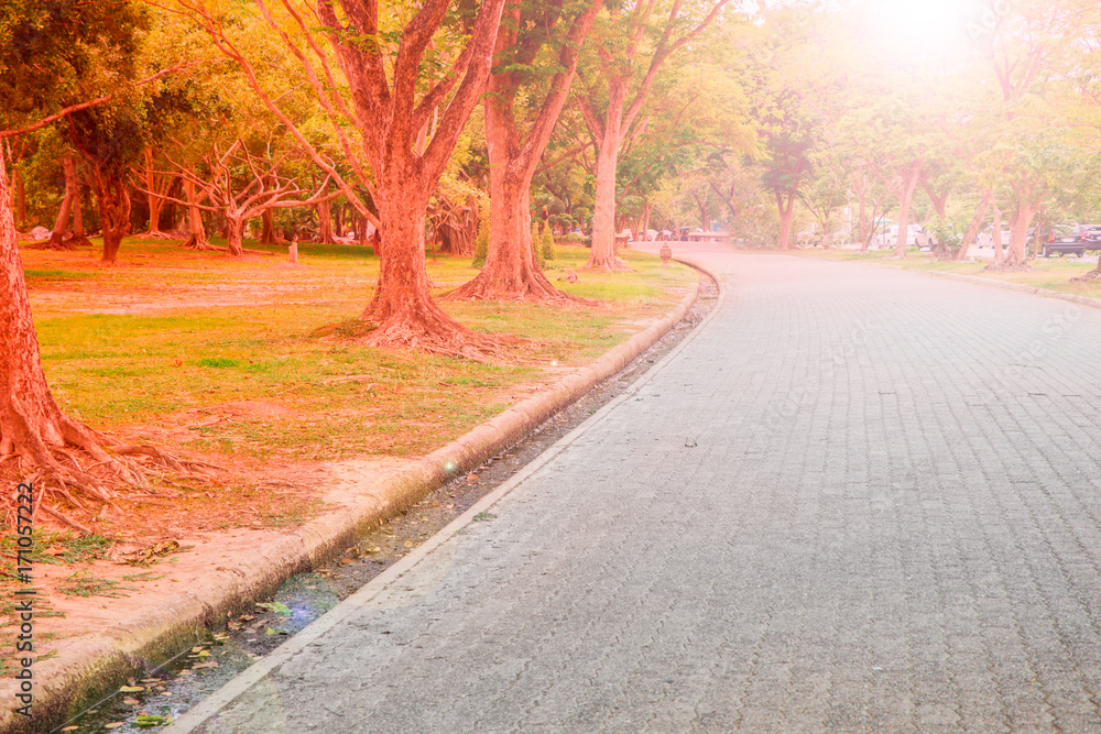Naklejka premium Walkway in the public park. Empty bicycle road in a park on early morning