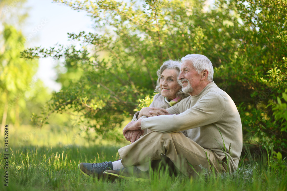 Fototapeta premium happy senior couple