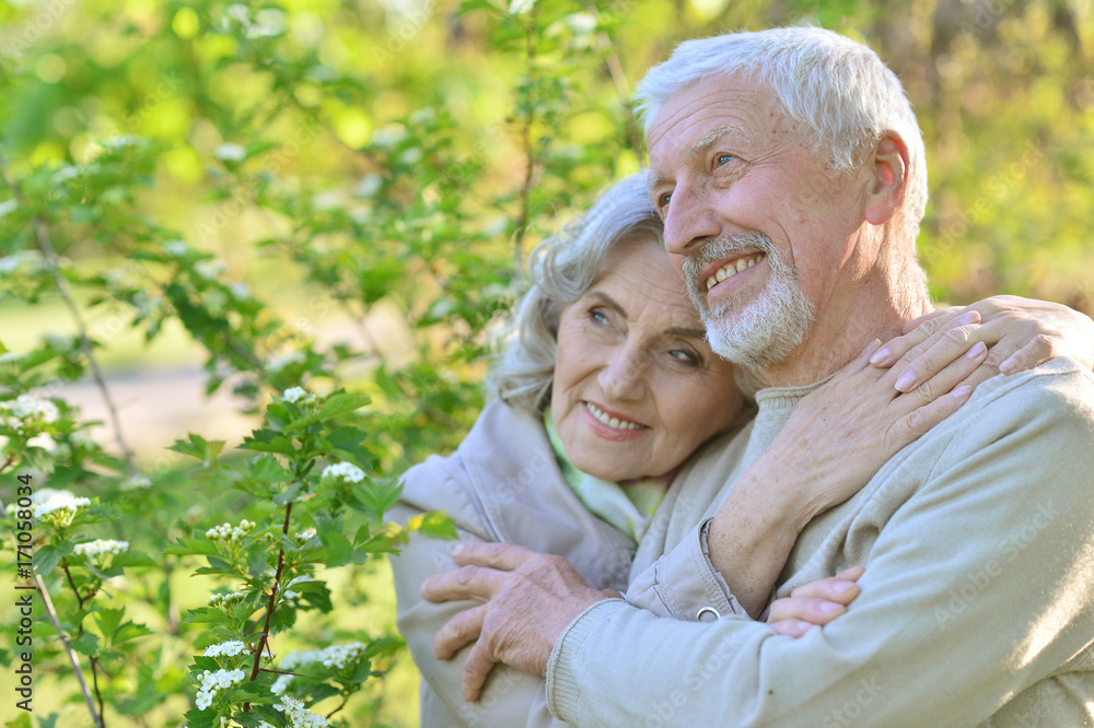 senior couple under blooming tree senior couple under blooming tree