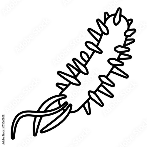 E coli bacteria icon , outline style