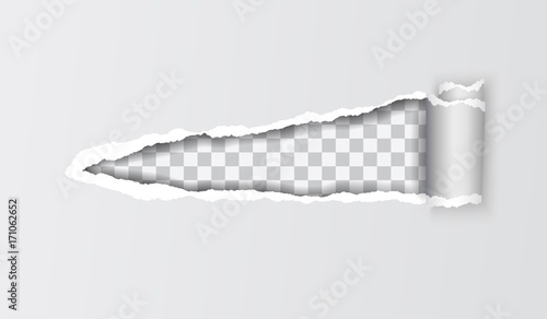 vector realistic illustration of grey torn paper with rolled edge on transparent background