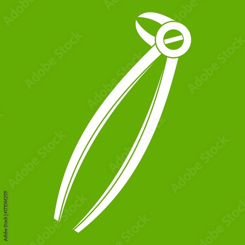 Tooth dentist forceps icon green