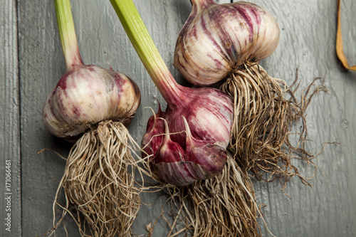 Fresh vegetables, garlic, onion on a gray wooden background.