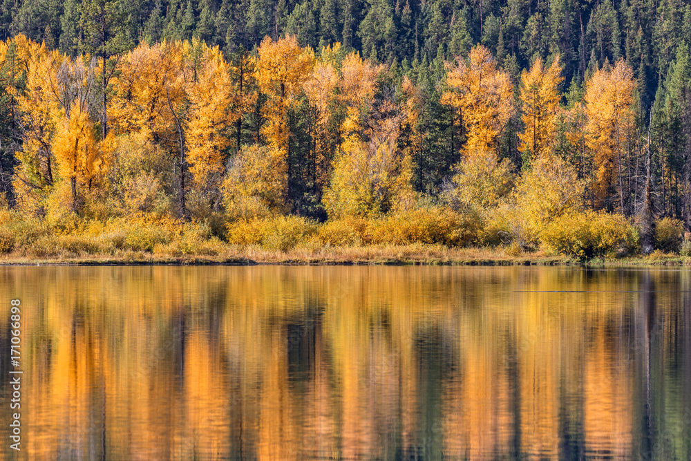 Scenic Autumn Landscape Reflection