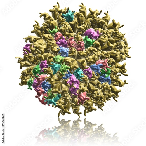 Cucumber mosaic virus particle, illustration photo