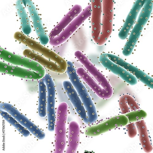 Marburg virus particles, illustration photo