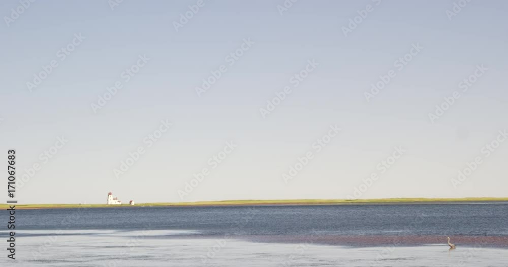 Lighthouse in distance - great blue heron in forground on water - slow zoom Lighthouse in distance - great blue heron in forground on water - slow zoom