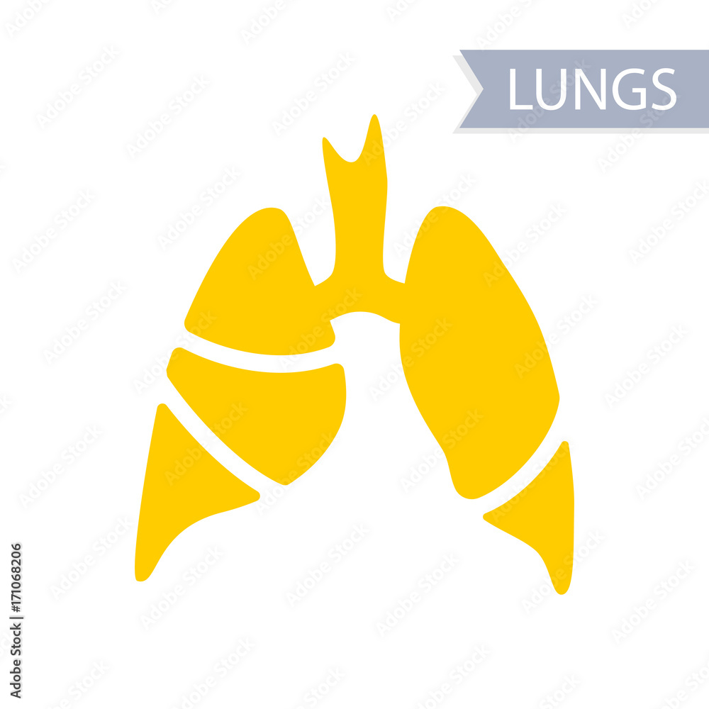 Vector silhouette medical illustration of human body organ - lungs with trachea. Logo template for clinic, hospital. Symbol for asthma, tuberculosis, pneumonia. Health care of respiratory system. Vector silhouette medical illustration of human body organ - lungs with trachea. Logo template for clinic, hospital. Symbol for asthma, tuberculosis, pneumonia. Health care of respiratory system.