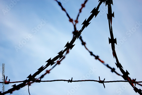 Restricted area - metal barbed wire on sky background.