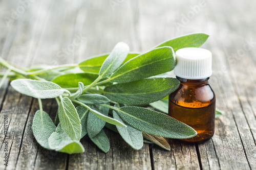 Bilde på lerret Bottle of essential sage oil.