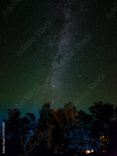 The Milky Way in night sky with stars and some trees.