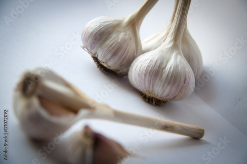 still life and garlic