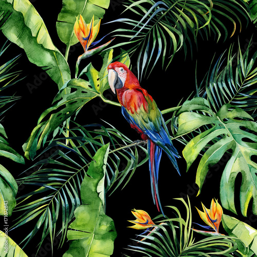 Plakat zwierzę ptak wzór ara raj