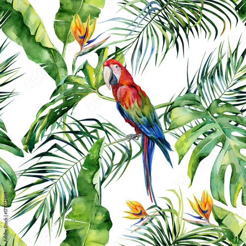 Seamless watercolor illustration of tropical leaves, dense jungle. Scarlet ma...